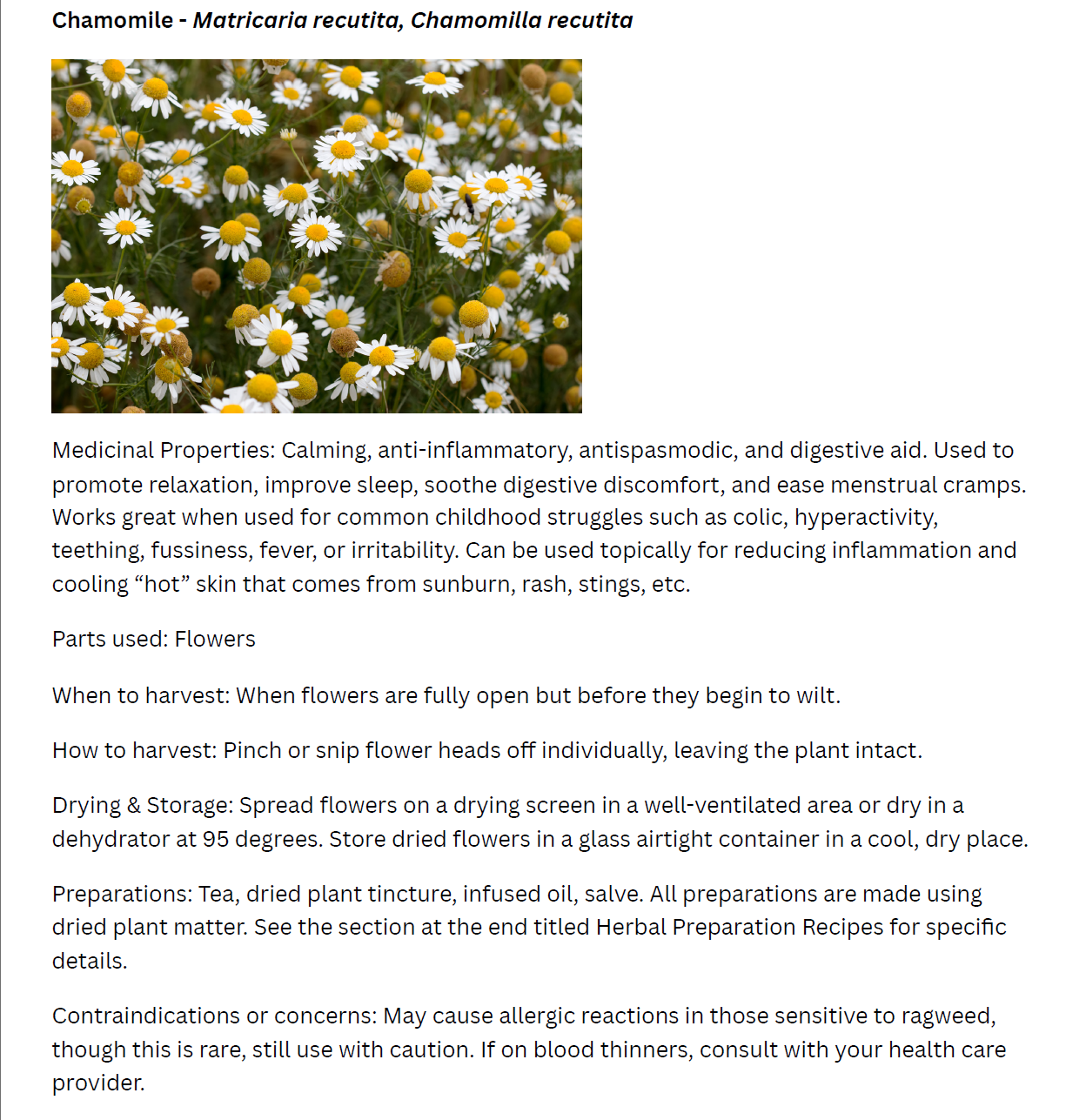 Beginner Medicinal Herb Gardening Guide - Printable/Downloadable PDF